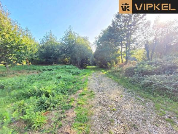 Terreno en calle de Senande