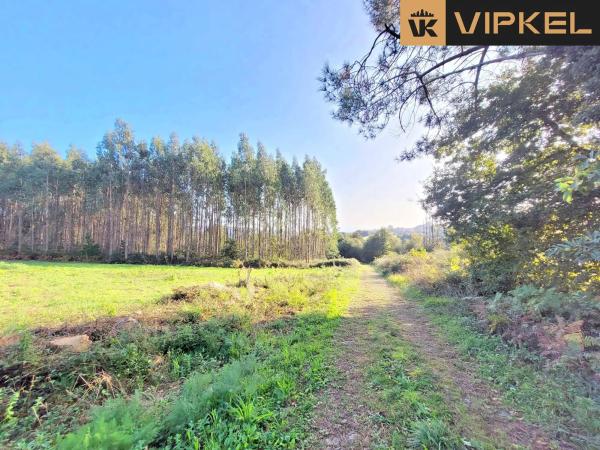 Terreno en calle de Senande