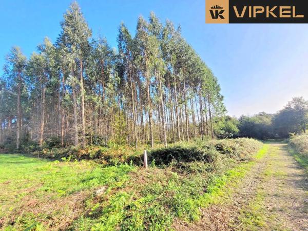 Terreno en travesía de sanxuas