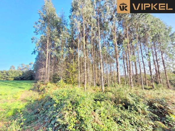 Terreno en calle de Senande