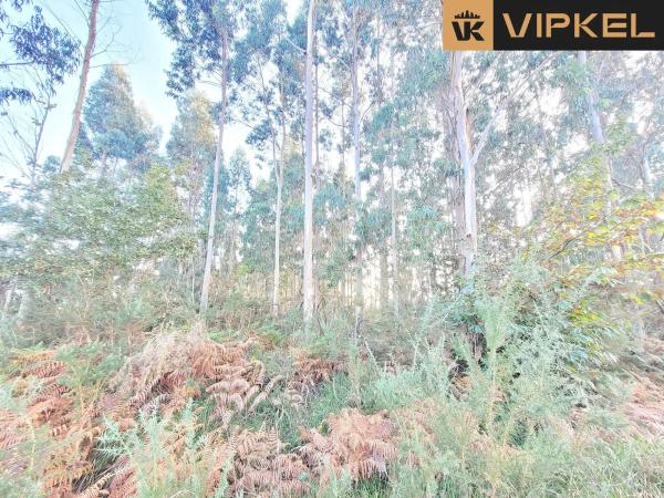 Terreno en calle de Senande