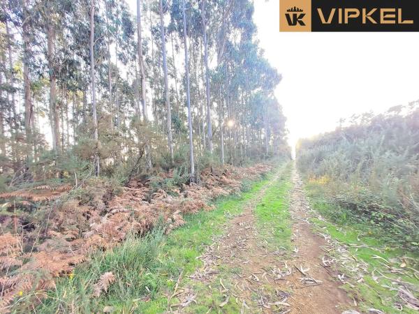 Terreno en calle de Senande