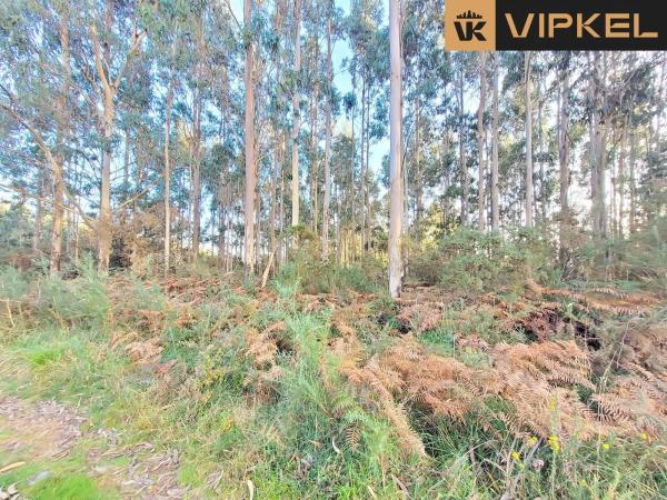 Terreno en calle de Senande