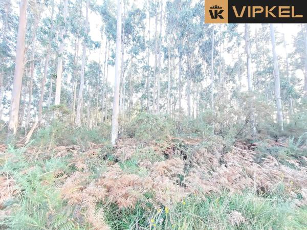 Terreno en calle de Senande