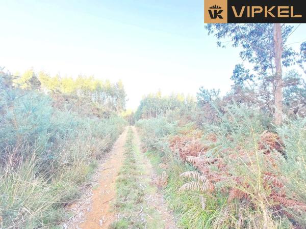 Terreno en calle de Senande