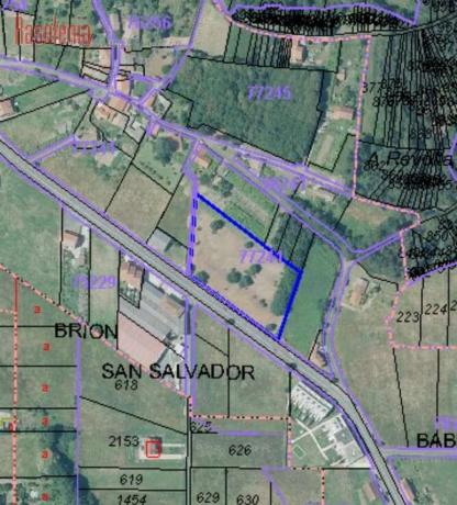 Terreno en avenida de Santa Minia