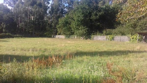 Terreno en Campus sur - Santa Marta