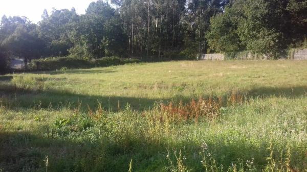 Terreno en Campus sur - Santa Marta