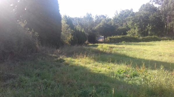 Terreno en Campus sur - Santa Marta