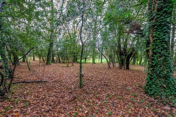 Terreno en calle Rueiro s/n