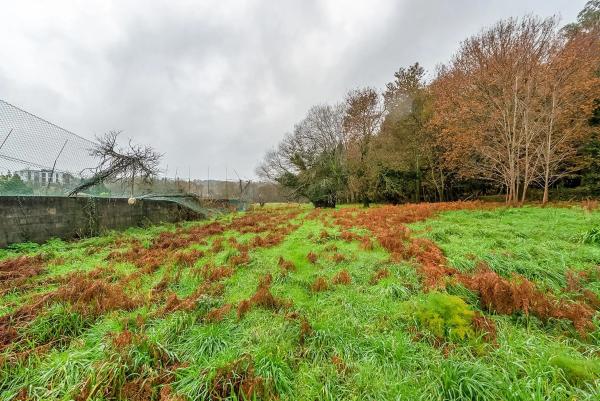 Terreno en calle Rueiro s/n