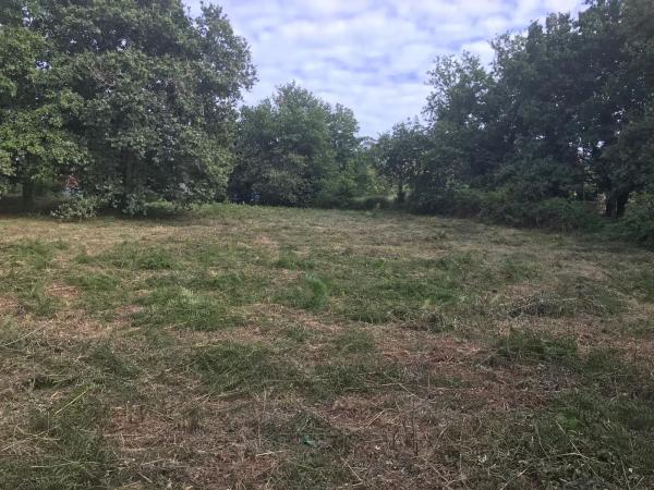 Terreno en calle Nova Da Igrexa, 15