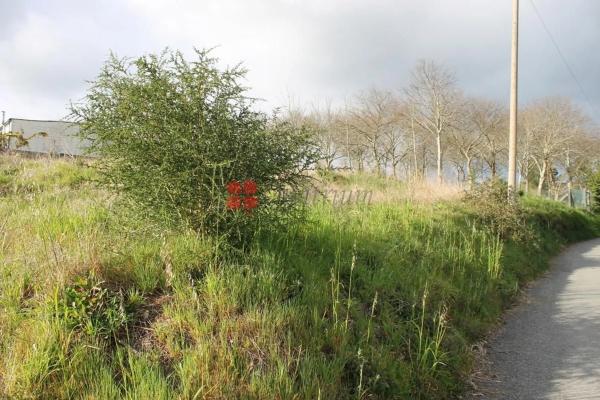 Terreno en Área de Ames