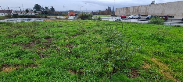 Terreno en calle da República Arxentina, 12