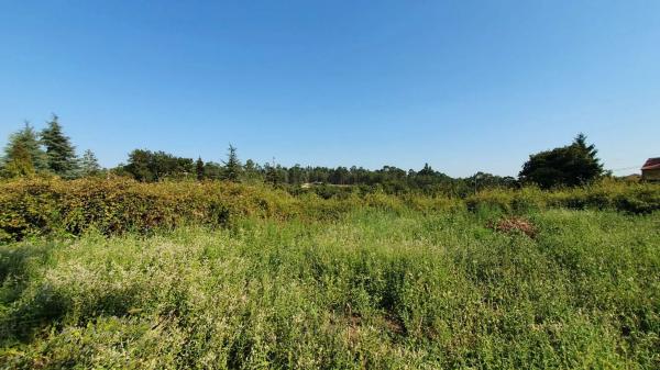 Terreno en Portela Villestro