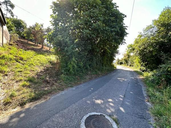 Terreno en Sarela