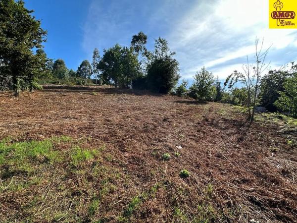 Terreno en Sarela