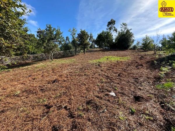 Terreno en Sarela