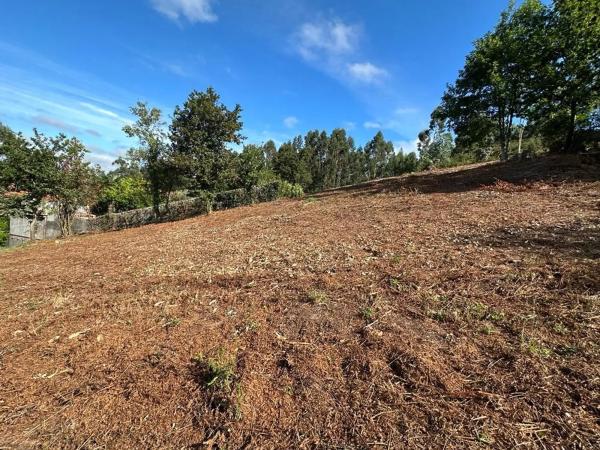 Terreno en Sarela