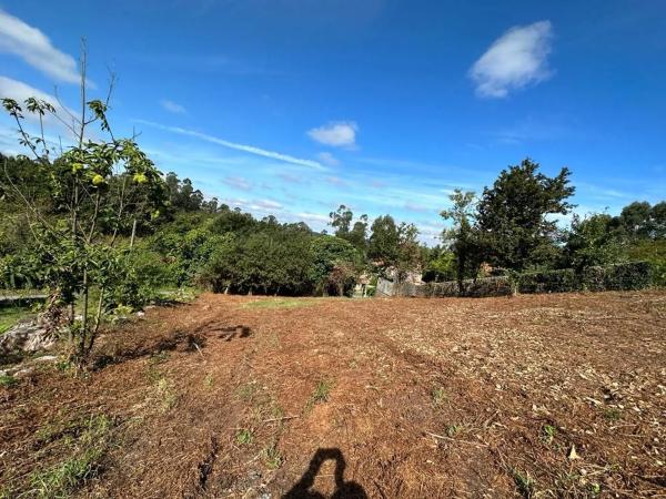 Terreno en Sarela