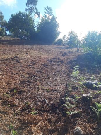 Terreno en calle Sarela de Abaixo, km 4