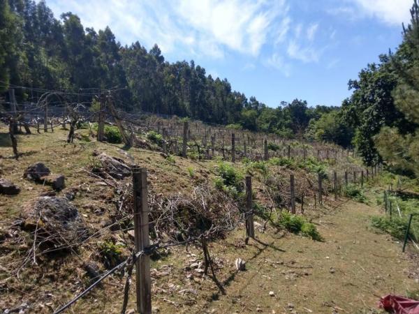 Terreno en camino Sen Nome