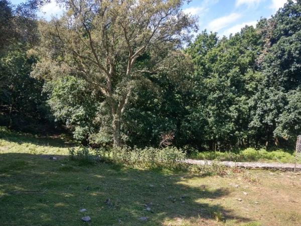 Terreno en camino Sen Nome