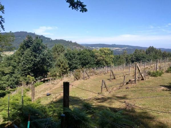 Terreno en camino Sen Nome