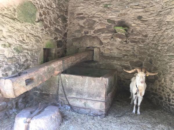 Terreno en camino Sen Nome