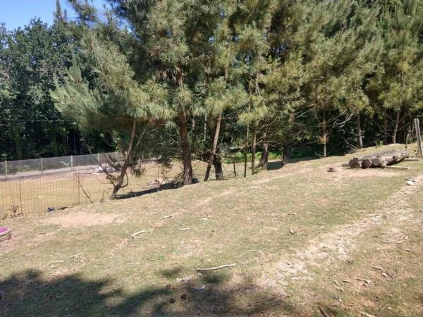 Terreno en camino Sen Nome