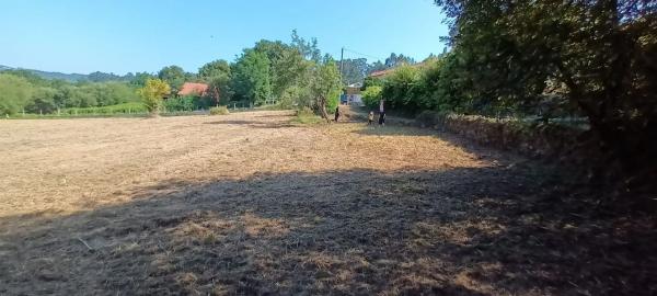 Terreno en Aldea Castelo, 12