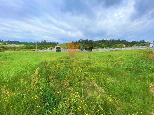 Terreno en calle Loureiro, 4