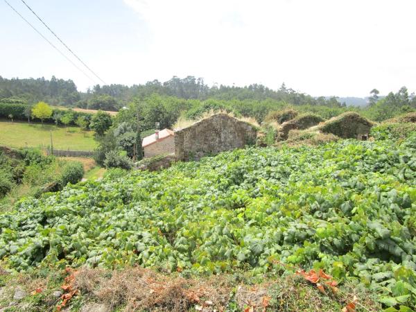 Terreno en Covas s/n