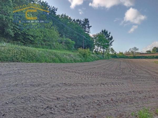 Terreno en Área de Ames