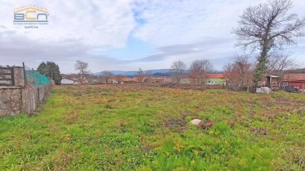 Terreno en Urbanización Las Mimosas