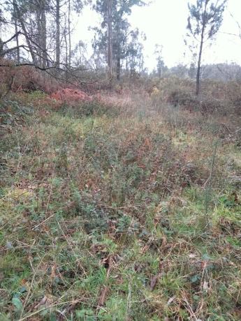 Terreno en avenida San marcos, 110