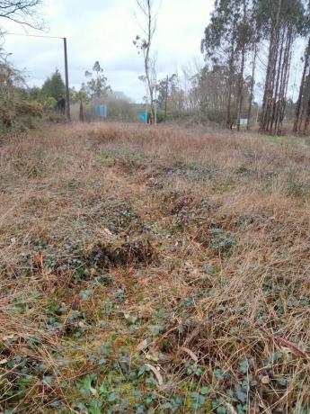 Terreno en avenida San marcos, 110