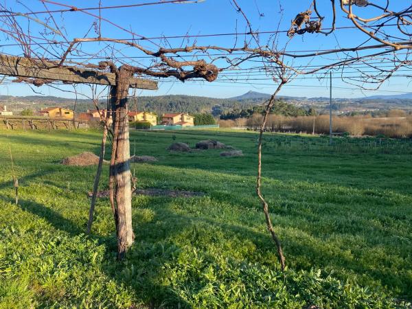 Terreno en Lugar de Penelas, 39