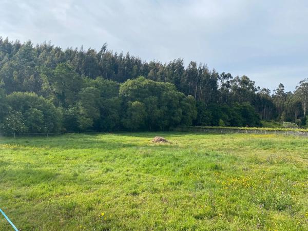 Terreno en Cortegada