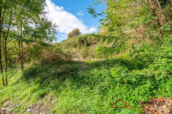 Terreno en Aldea Cruxeiras