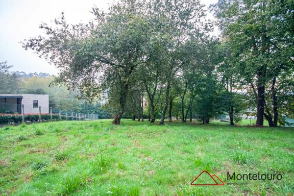 Terreno en Aldea Buceleiras