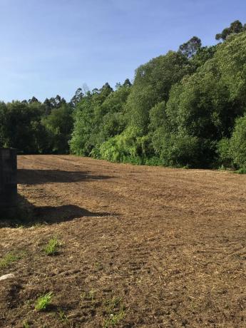 Terreno en Lugar Reibo, 4