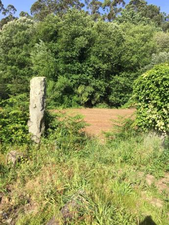 Terreno en Lugar Reibo, 4