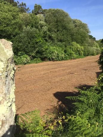 Terreno en Lugar Reibo, 4