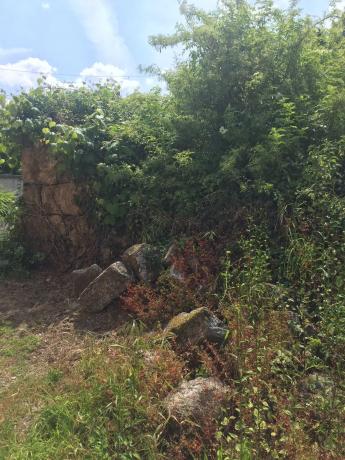 Terreno en Lugar Reibo, 4