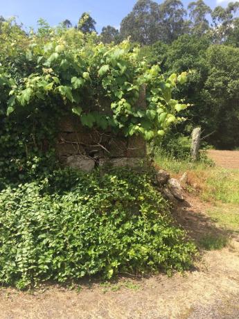 Terreno en Lugar Reibo, 4