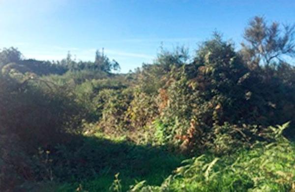 Terreno en calle da Pena Corveira