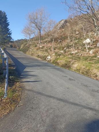 Terreno en Campus sur - Santa Marta