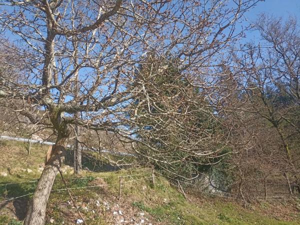 Terreno en Campus sur - Santa Marta