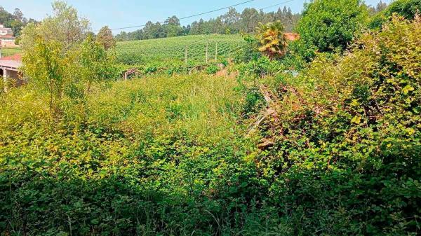 Terreno en Lugar Torre s/n